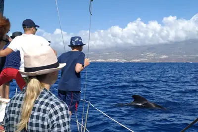 Children at the rail of a sailing yacht watching a pilot whale surface off Costa Adeje, Tenerife